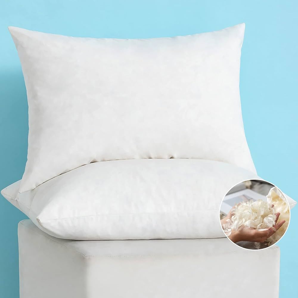 MIULEE Set of 2 Decorative Throw Pillow Inserts, Down Amazon Finds Amazon Deals Amazon Sales | Amazon (US)