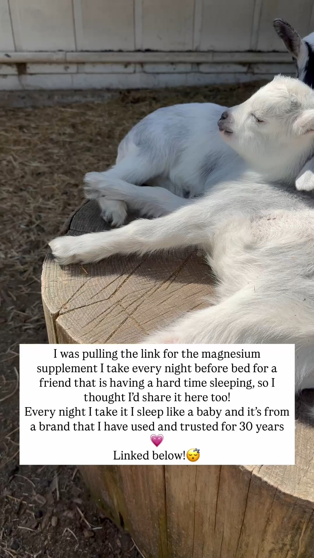 I swear by this stuff! It will have you sleeping like these guys 💗