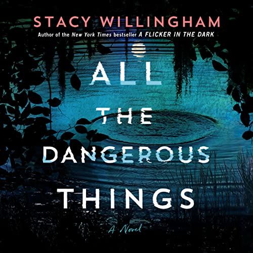 All the Dangerous Things: A Novel | Amazon (US)