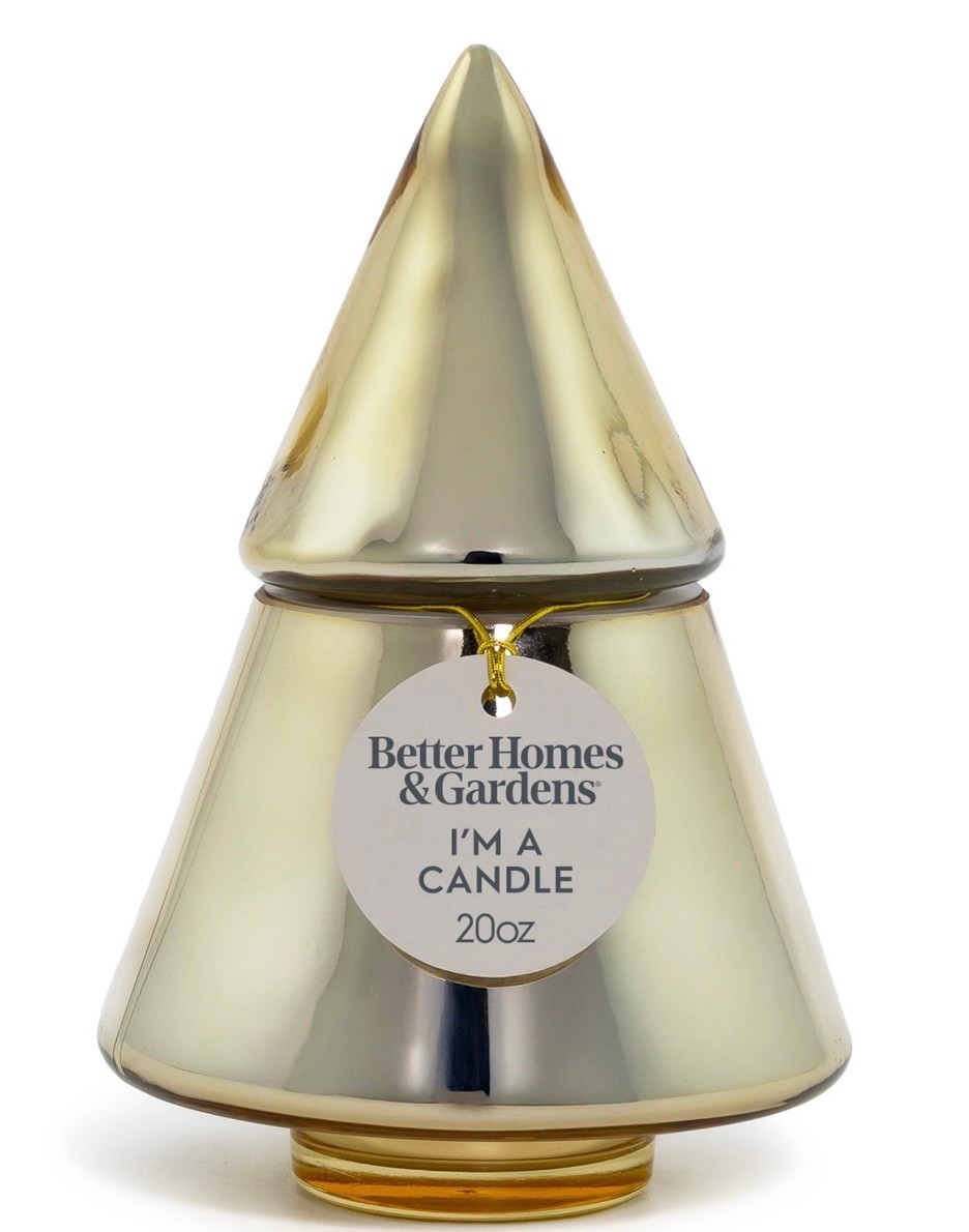 How gorgeous is this and it’s a candle! What a great gift this would be! It’s under $15! 

#LTKHoliday #LTKSaleAlert #LTKGiftGuide