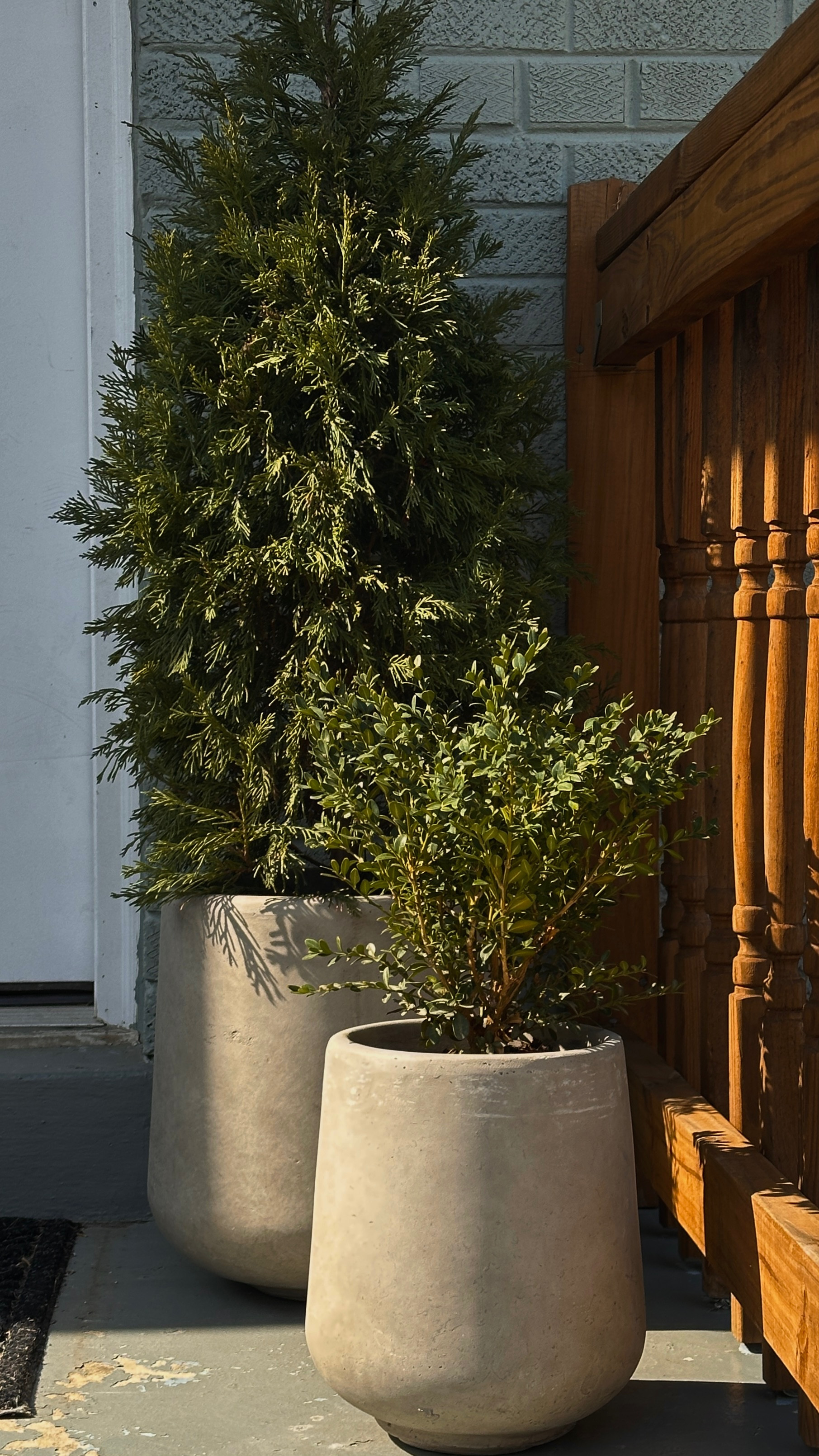 Spring is coming! Repotting my evergreens in these lovely weathered finish pots. #planters #homedecor #frontporch #gardening #tools #plants #evergreens

#LTKHome #LTKFindsUnder50 #LTKSeasonal