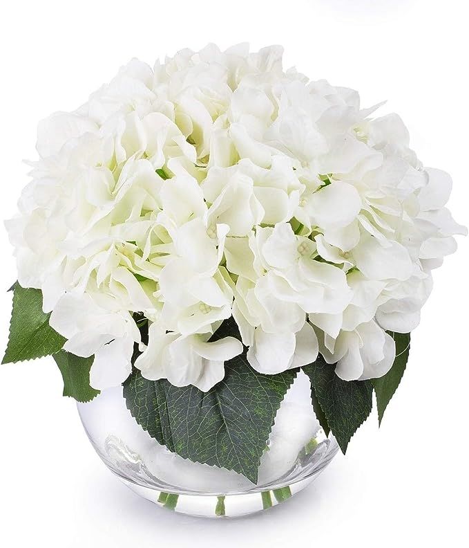 ENOVA Home Cream Hydrangea Flower Arrangement in Clear Glass Vase with Faux Water for Home Office... | Amazon (US)