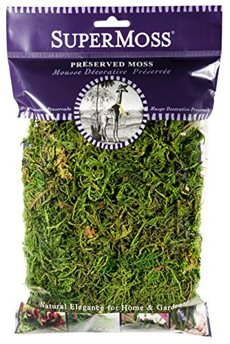 SuperMoss (25320) Forest Moss Preserved, Fresh Green, 2oz | Amazon (US)