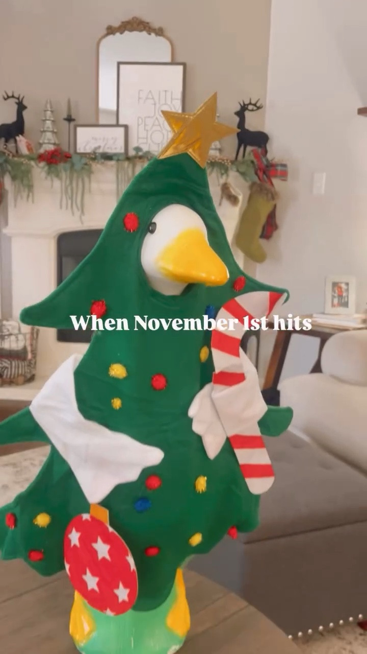 It’s November 1st Yall…🎄🪿