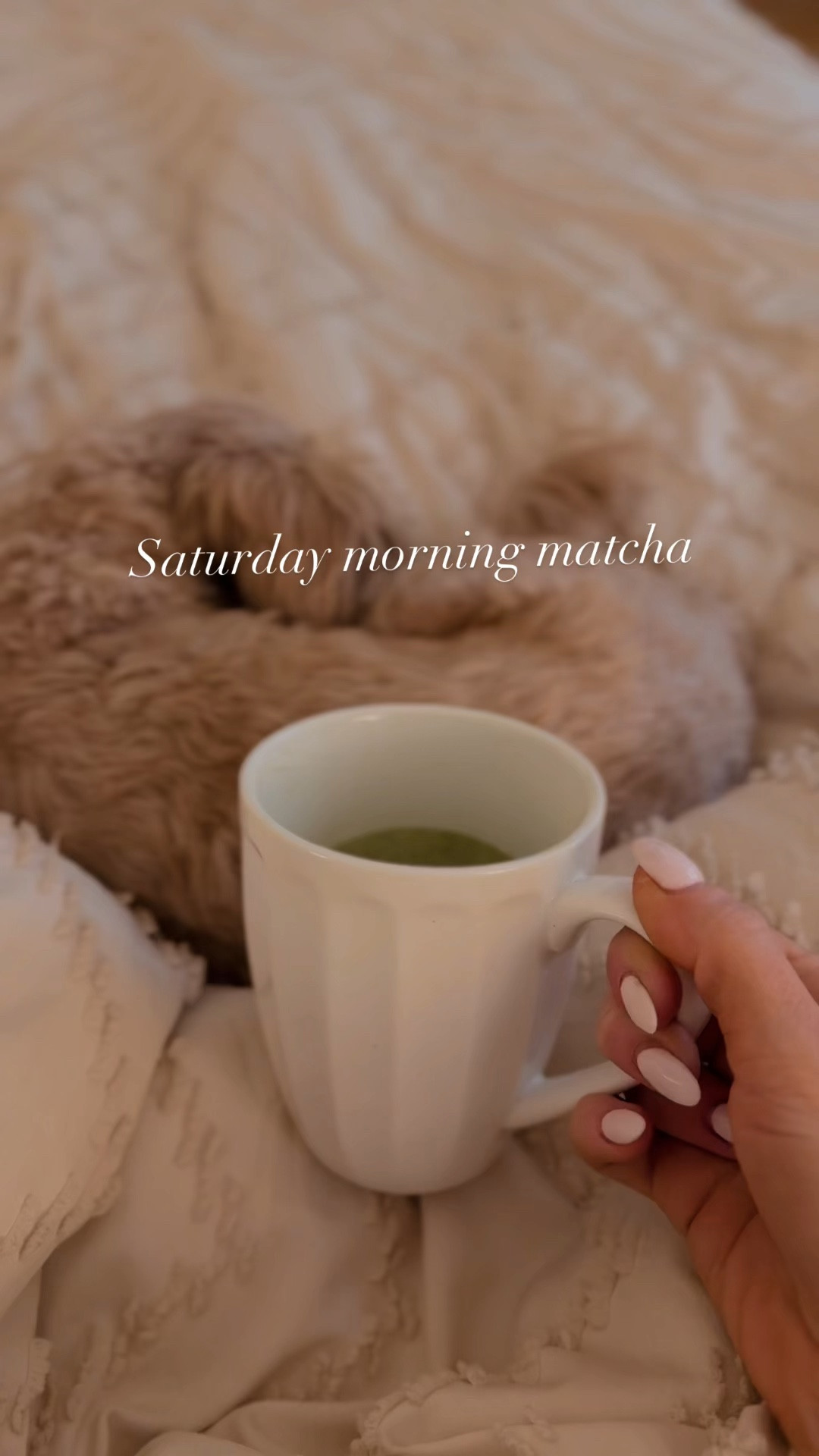 I’ve been drinking matcha for years. It’s full of antioxidants, boosts your metabolism and I love the earthy taste. Matcha lattes are my favorite but can be loaded with sugar, so I started making them at home, and I never knew how easy it is!

I’ve been using the @fkro.co Organic Matcha Collagen which not only gives me my essential amino acids and protein, but provides a beauty boost from biotin, hyaluronic acid and vitamin C with certified non-GMO collagen. I can make an iced or hot matcha latte in minutes and the flavor is amazing - even while sneaking in my collagen peptides. 

1. Prepare 30 ml of warm water
2. Add 1 scoop of the Matcha Collagen and whisk or shake. I love the ease of this handheld frother.
3. Add milk - I am using almond milk, but 2% milk is super tasty and adds a nice sweetness. 
4. Serve hot or iced.

#LTKFindsUnder50 #LTKVideo #LTKOver40