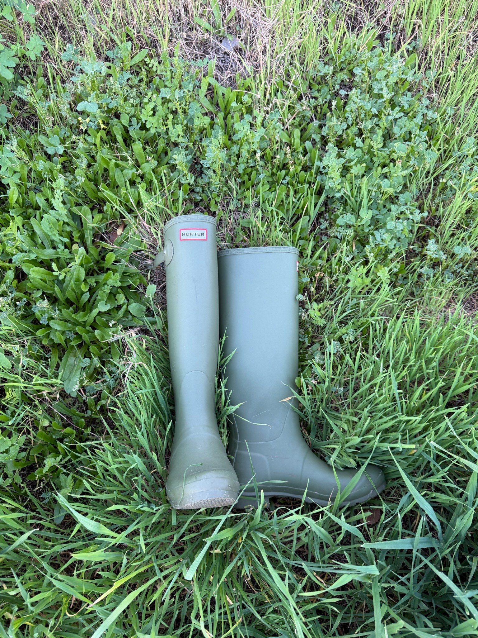 Favorite little rain boots!❣️💌

#LTKootd #LTKgrwm #LTKdayinmylife