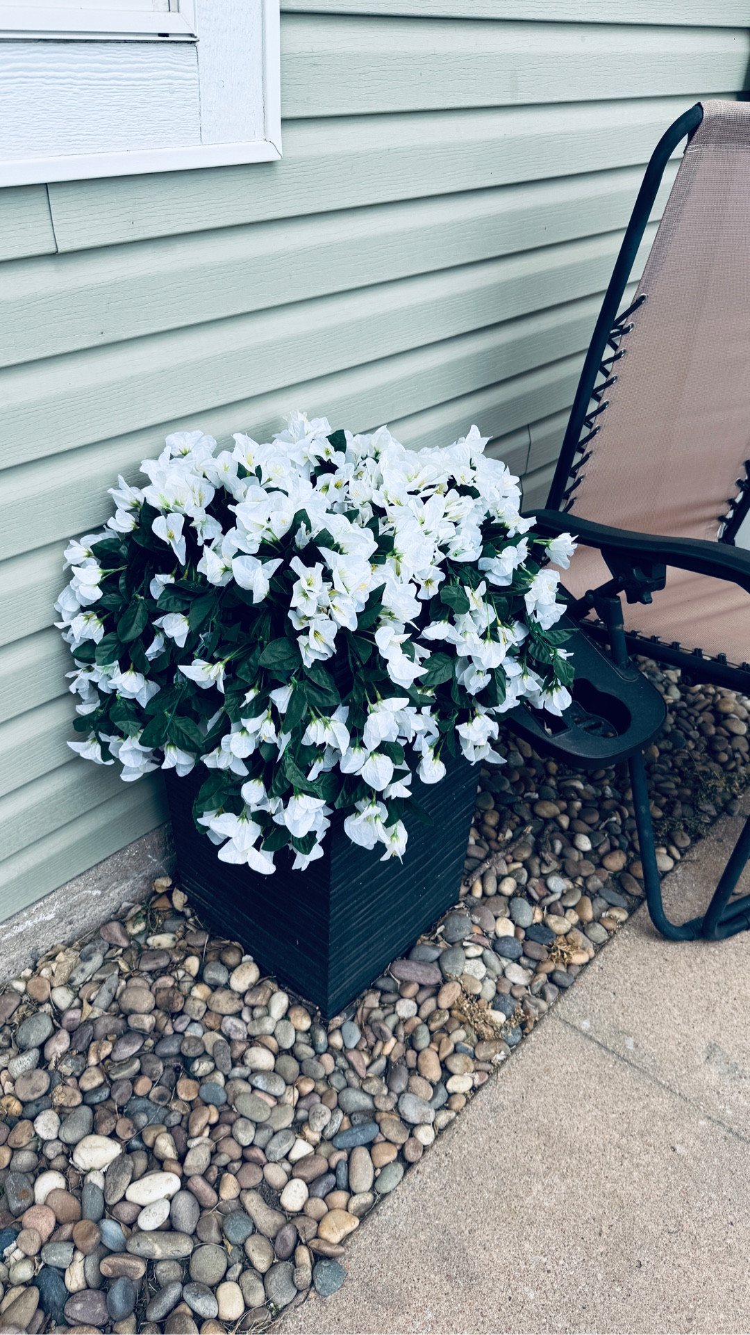 obvi mother nature agreed with my decision!

#LTKvlog #LTKHome #LTKSeasonal