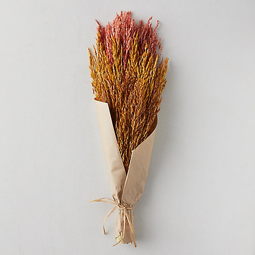 Harvest Hues Preserved Grass Bouquet | Terrain