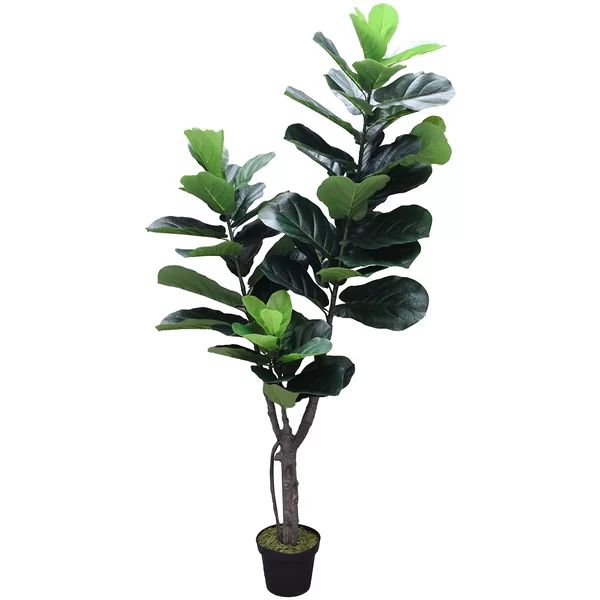 Real Touch Silk Fiddle Leaf Fig Tree in Pot | Wayfair Professional