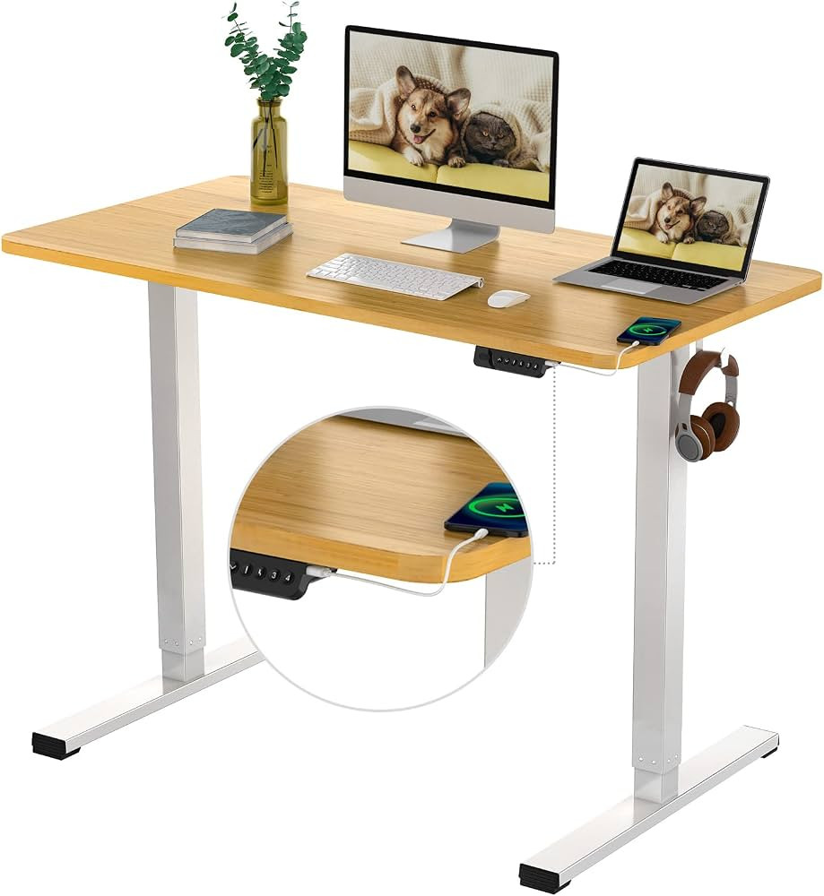 FLEXISPOT Adjustable Desk Quick Assembly Electric Standing Desk with 48 x 24 Inches Whole-Piece E... | Amazon (US)