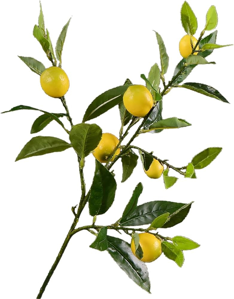 HANTURE 4pcs Artificial Lemon Branches Decor 35.8 Inch Lifelike Faux Lemon Greenery Stems Fake Sp... | Amazon (US)