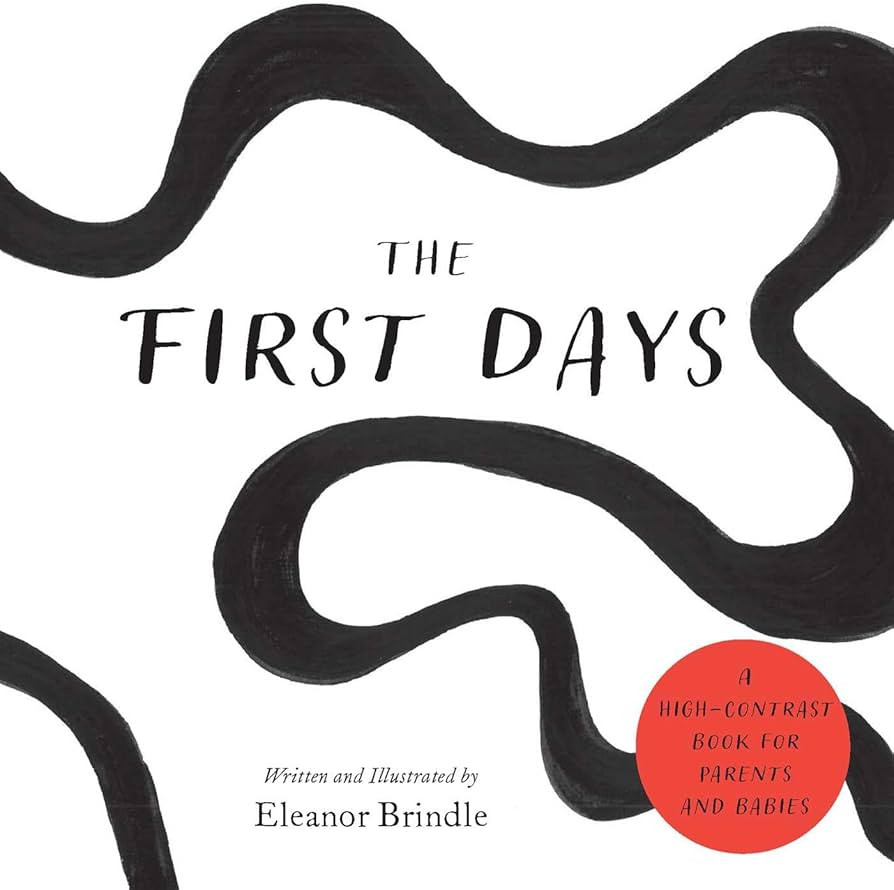 The First Days: A High-Contrast Book for Parents and Babies | Amazon (US)