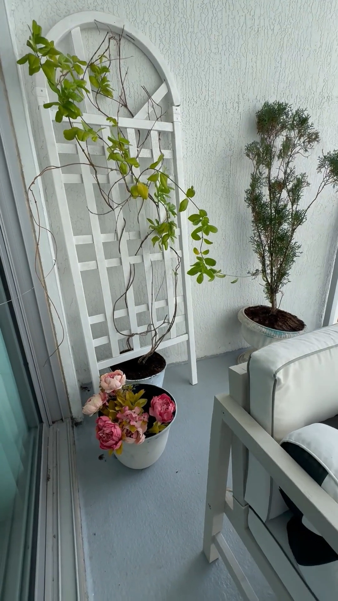 My white trellis on Amazon! Bought this over 4 years ago maybe 5 when I moved to West Palm Beach. Still stands tall! These are expensive home and garden pieces. I think this one is at the bottom of the price point in its category, but it’s durable and my climbing plant loves it ! 

#LTKSeasonal #LTKHome #LTKGiftGuide