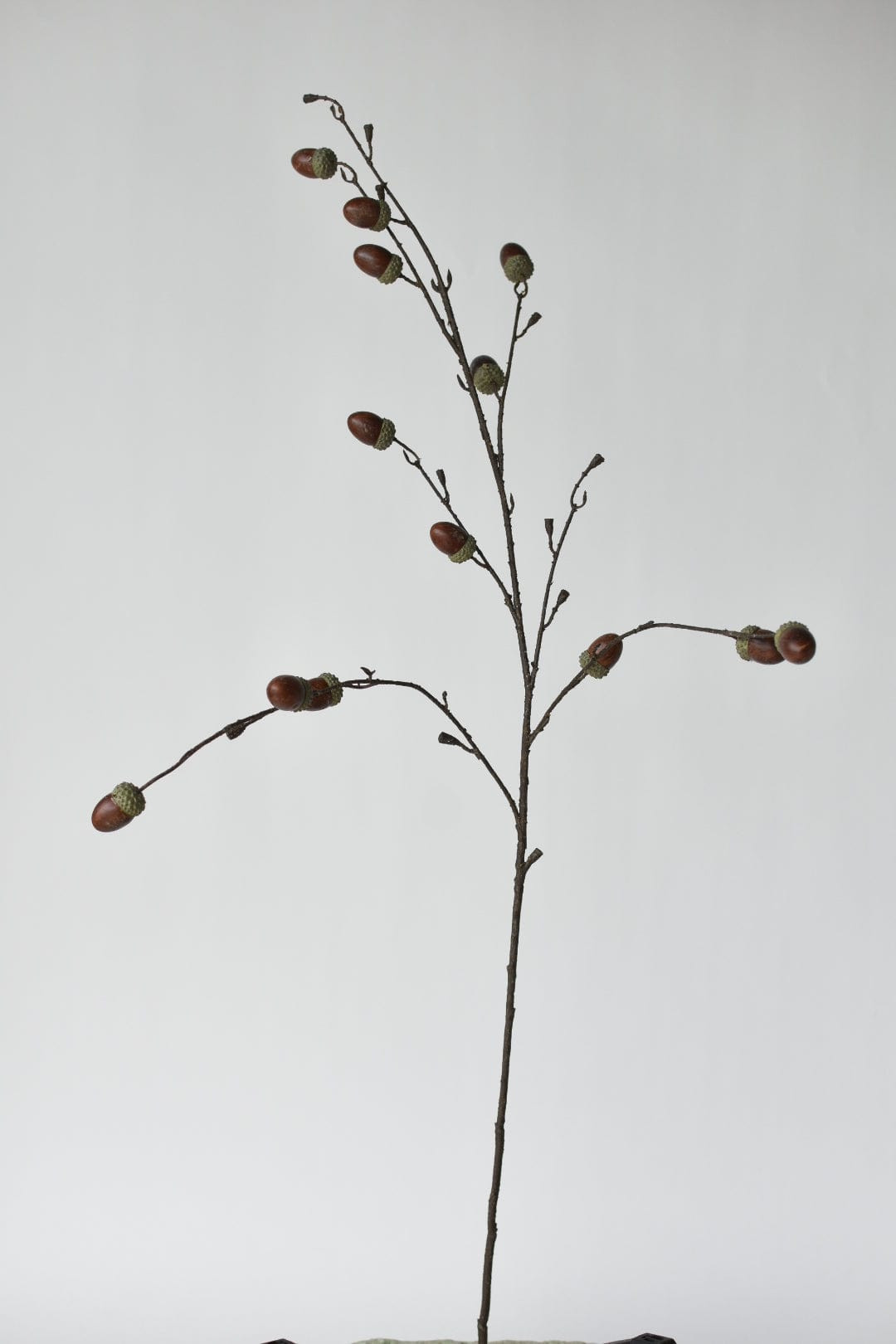 40 | HouseFloral