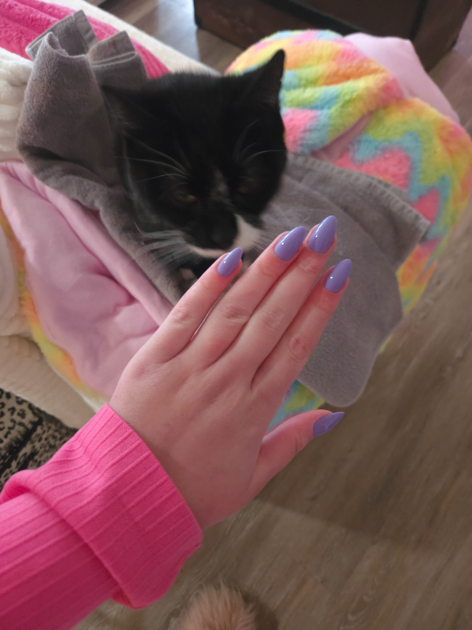 Wearing my favorite press on nails as always! So pretty, durable, and less than $20. Perfect spring nail color 💅🏻🪻

#LTKSpringSale #LTKBeauty #LTKFindsUnder50