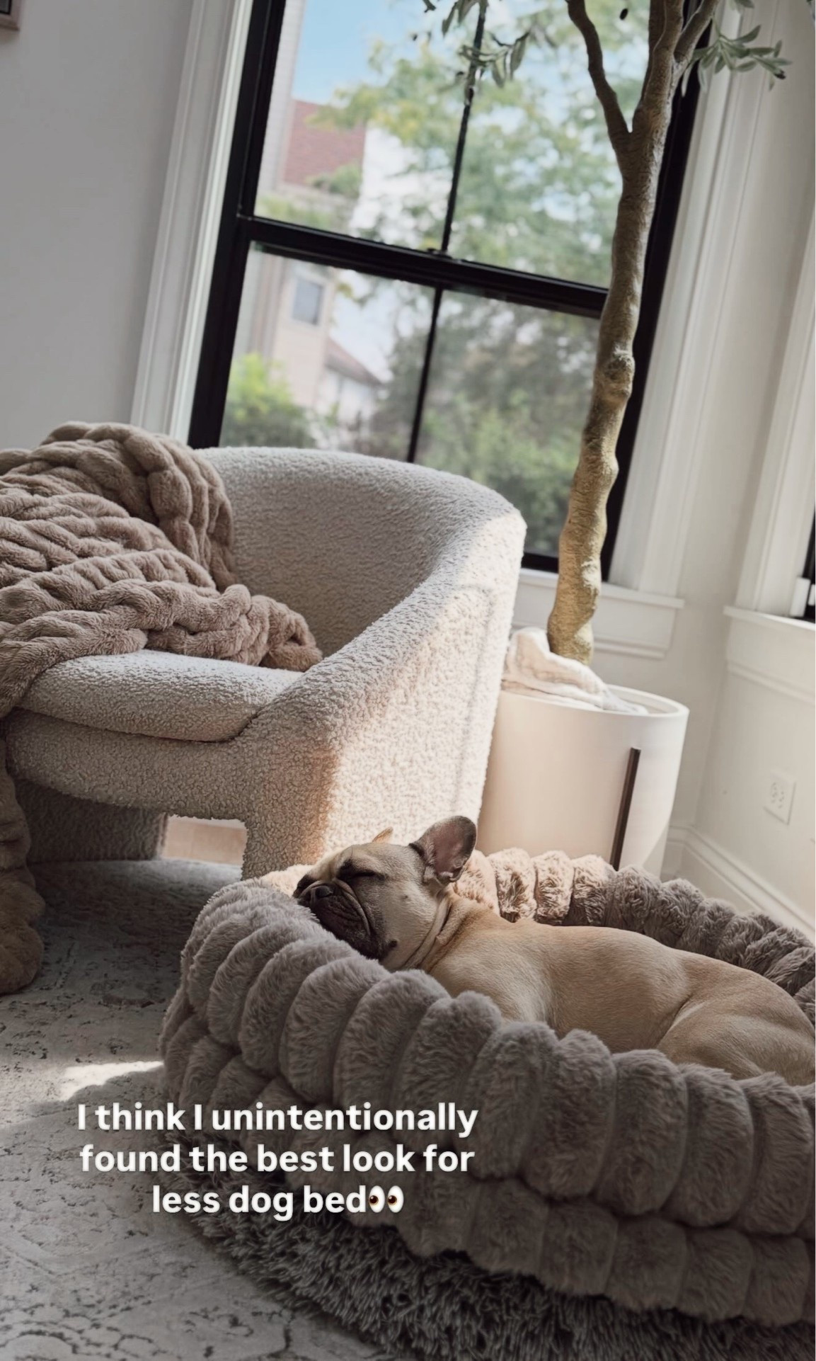 He loves it! Best look for less and look at the reviews! All the pups are so cute! 🐾💯

I have oatmeal, 30”

#LTKSaleAlert #LTKHome #LTKstorytime