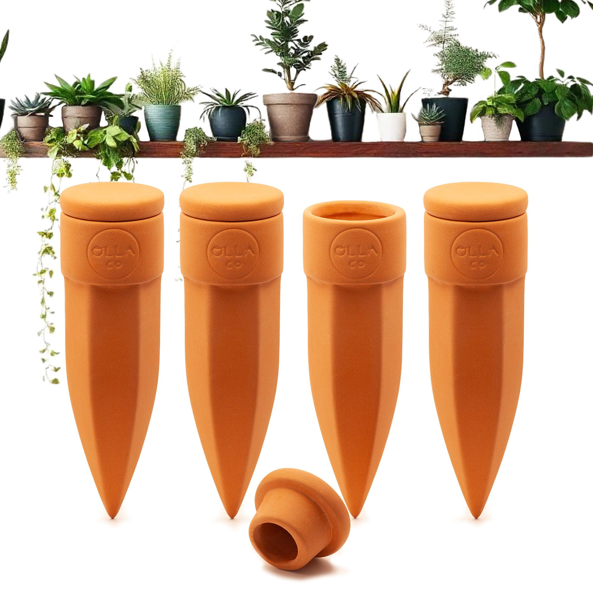 Plant Watering Spikes with Lids - Ideal for 4”-6” Pots - Vacation Friendly - Terracotta - Small - Set of 4 | Amazon (US)