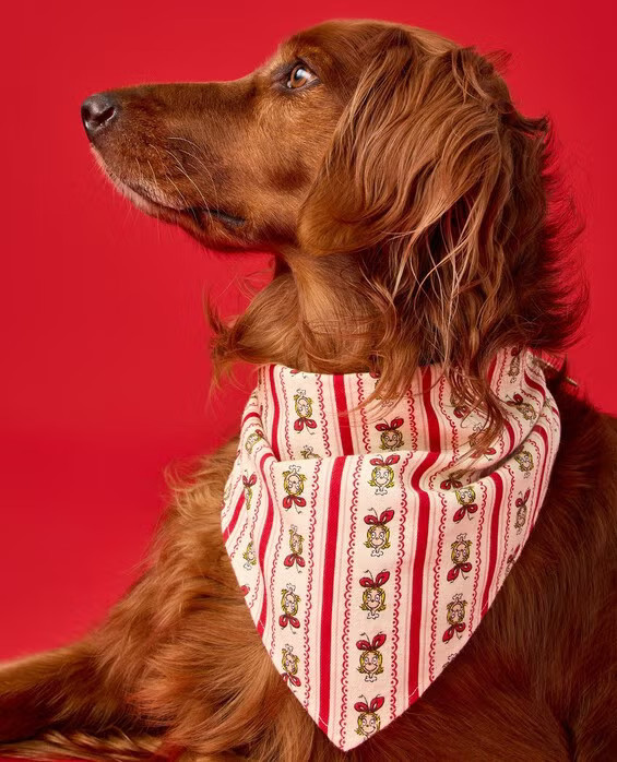 Girls' & Boys' Dr. Seuss Grinch Flannel Dog Bandana, Cindy Lou Wallpaper in 100% Combed Cotton - Size Big Kids L/XL by Hanna Andersson | Hanna Andersson