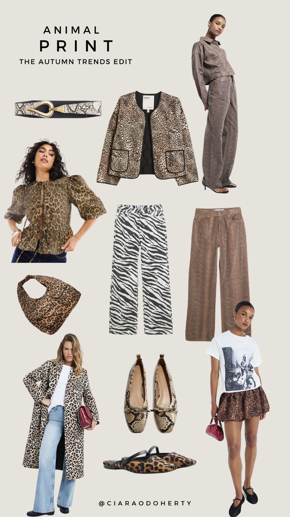 A pop of animal print 🐆🐯🦓 My favourite animal print items on the highstreet right now 🤎

#LTKireland #FashionMonth #LTKautumn