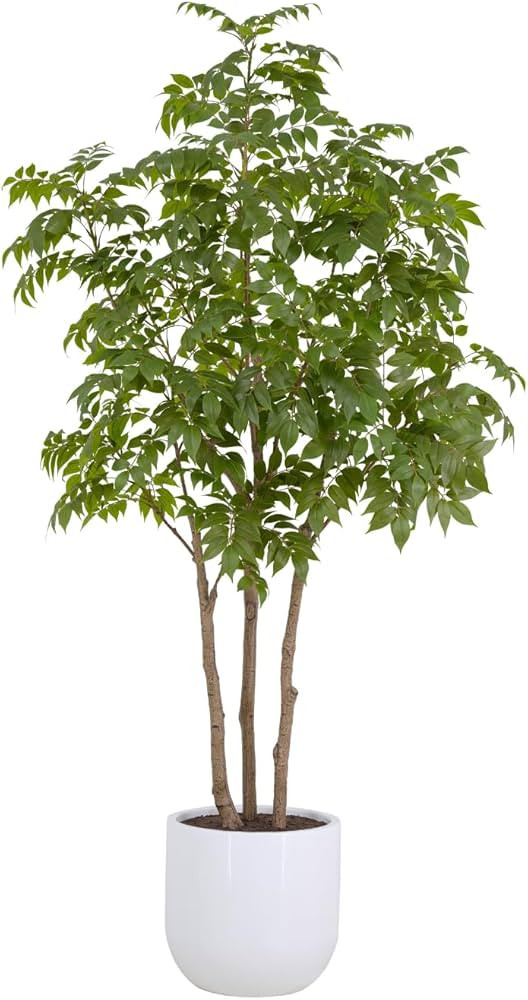 Faux Sumac Tree, Premium Artificial Indoor Tree Stands 7-ft Tall, Lifelike-Leaves & Hand Painted ... | Amazon (US)