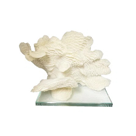 Highland Dunes Cayuse Coral Sculpture With Glass Base | Wayfair | Wayfair North America