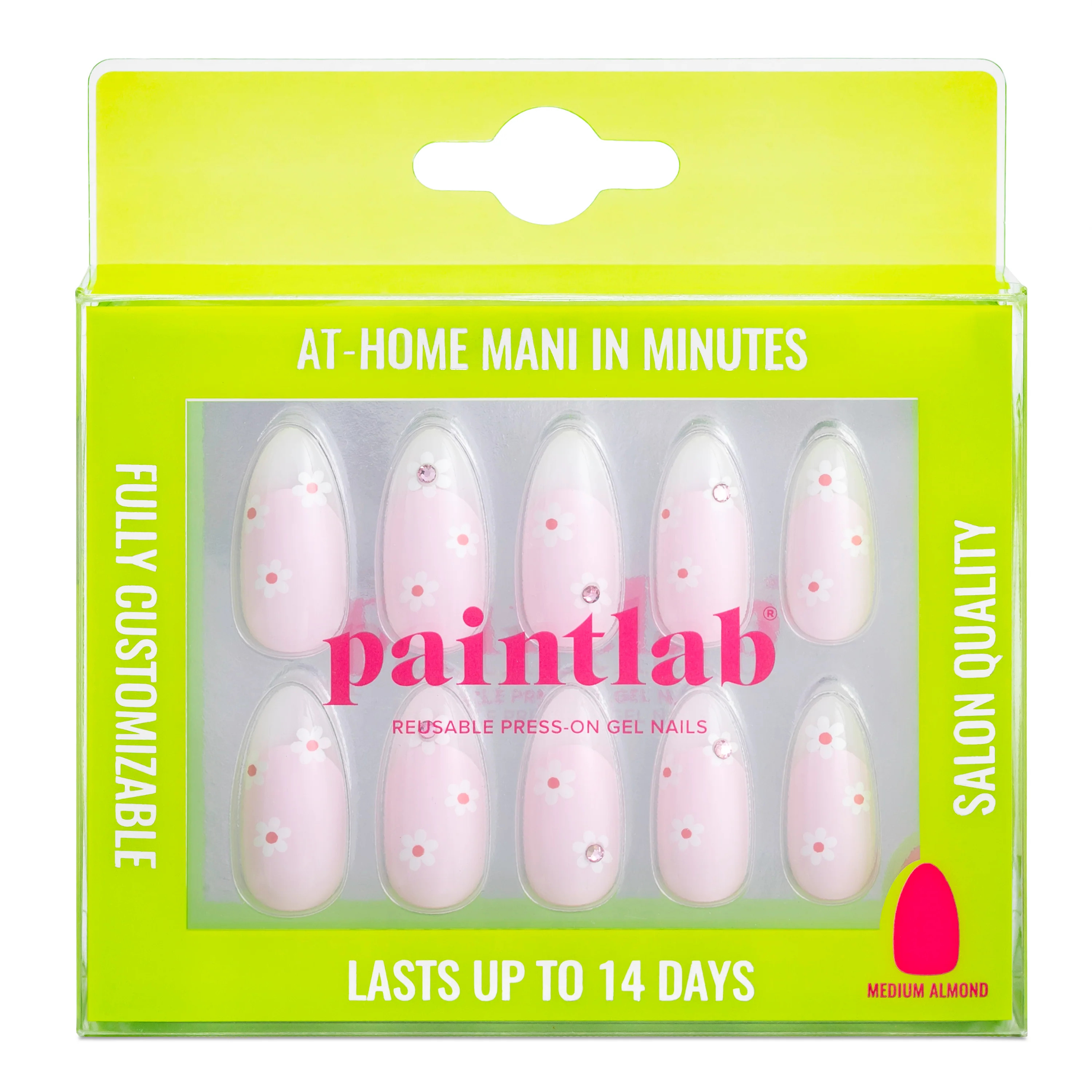 Dainty Daisy | PaintLab