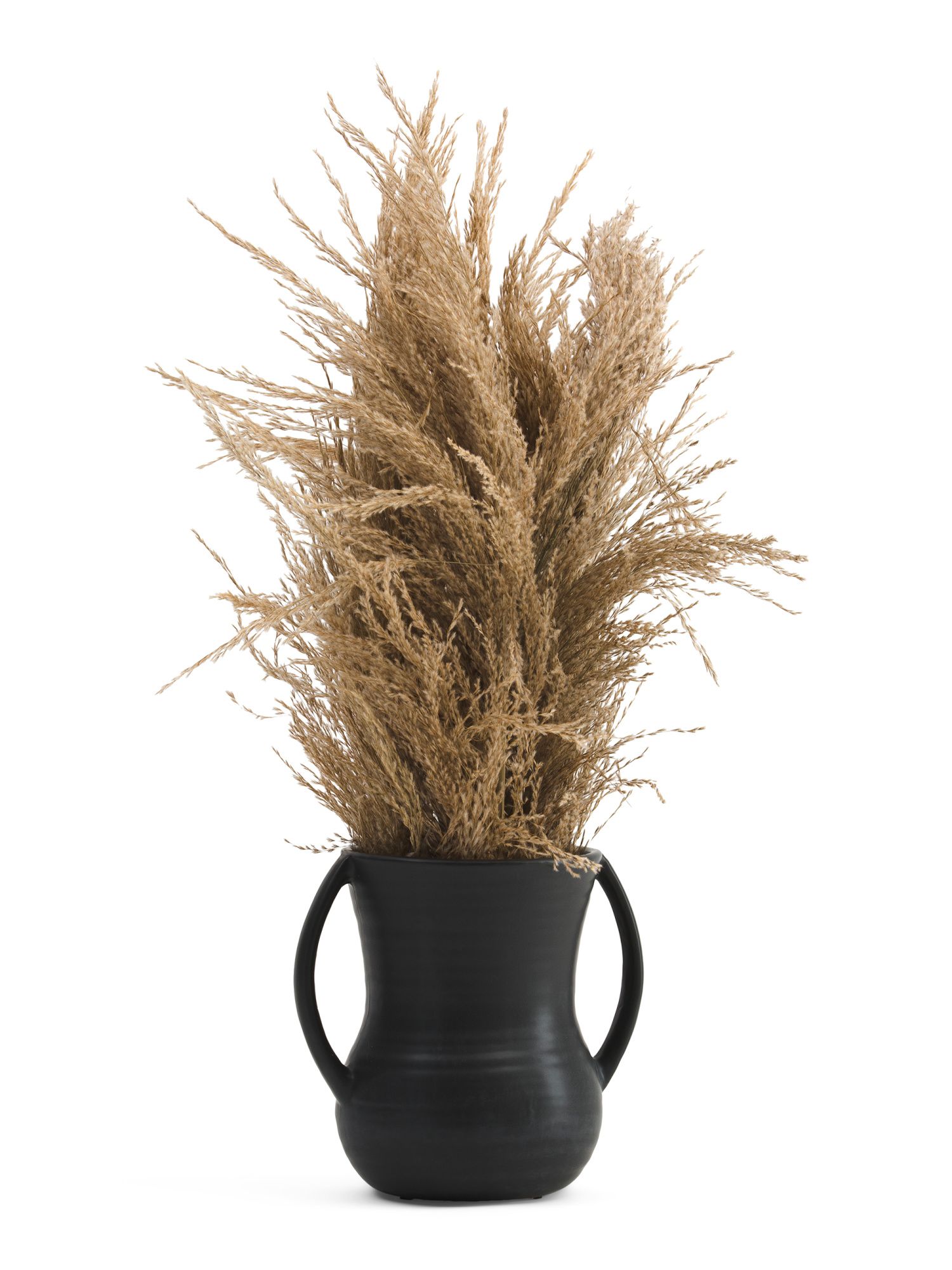 Pampas In Matte Vase | Plants & Planters | Marshalls | Marshalls