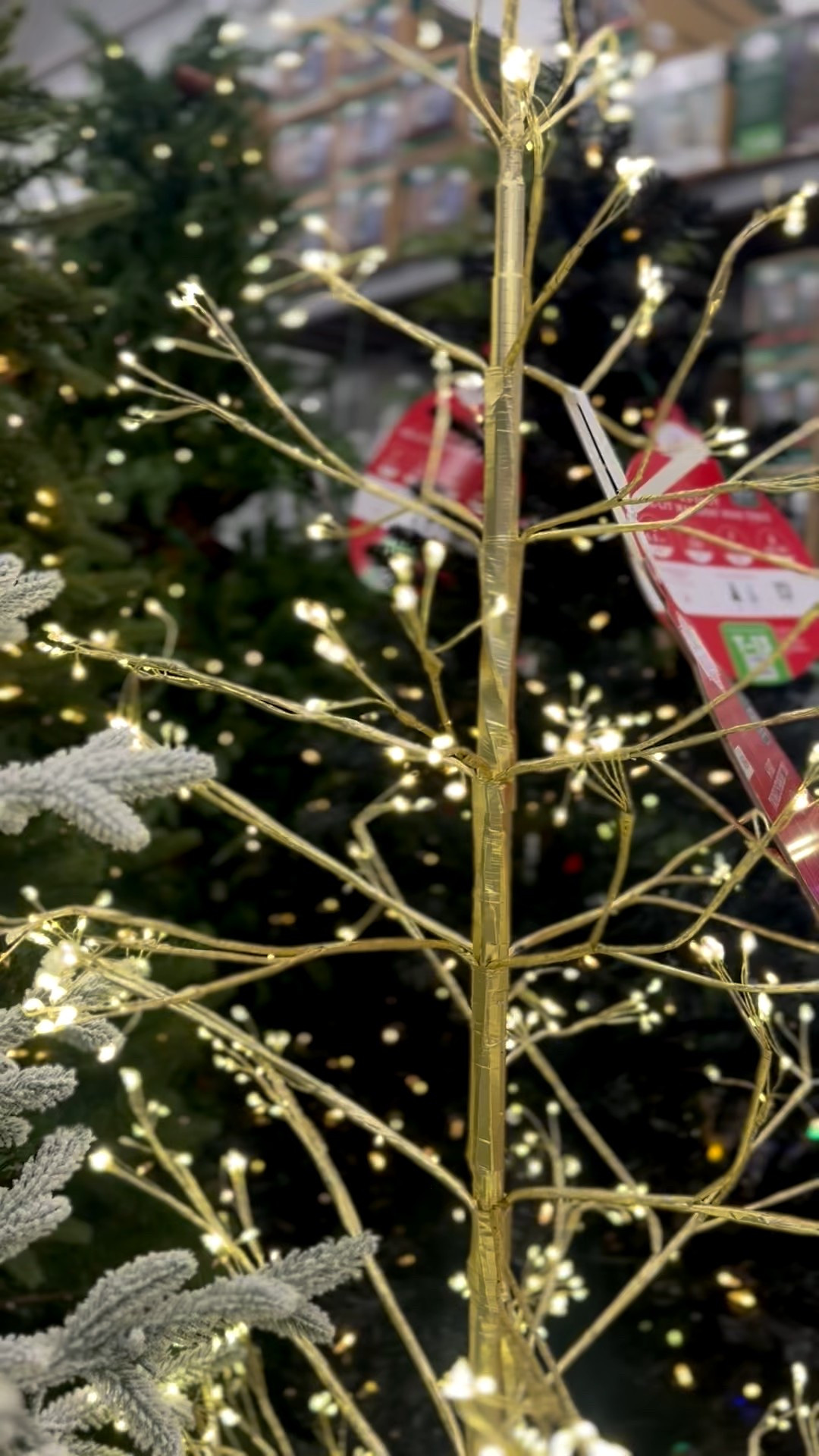 Gorgeous twinkling lights

#LTKSeasonal