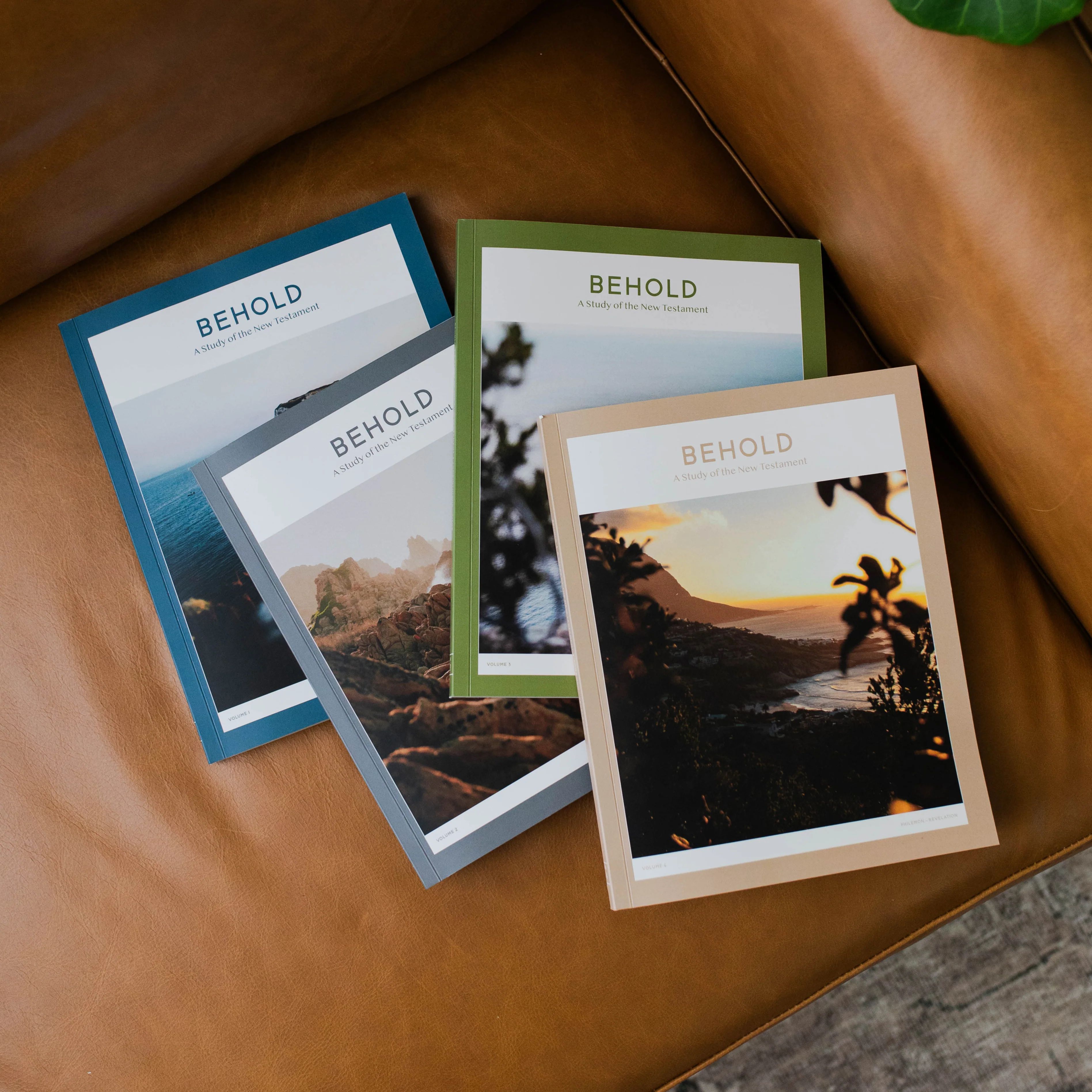 Behold: A Study of the New Testament Bundle - Men | The Daily Grace Co.