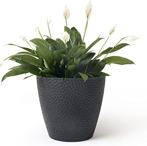 Outdoor Indoor Tree Planters - 14 Inch Large Planter Flower Pots, Plant Pots, Black, Honeycomb | Amazon (US)