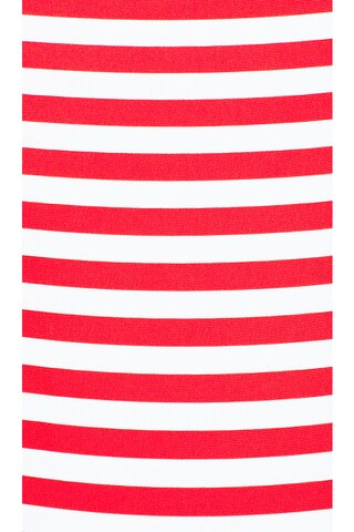 by Marianna Cherie One Piece in Red & Ivory Stripe | Revolve Clothing (Global)