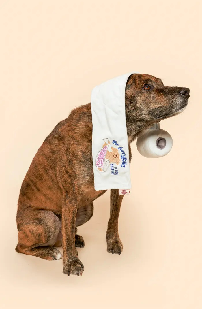 Toilet Paper Nosework Toy | Nordstrom