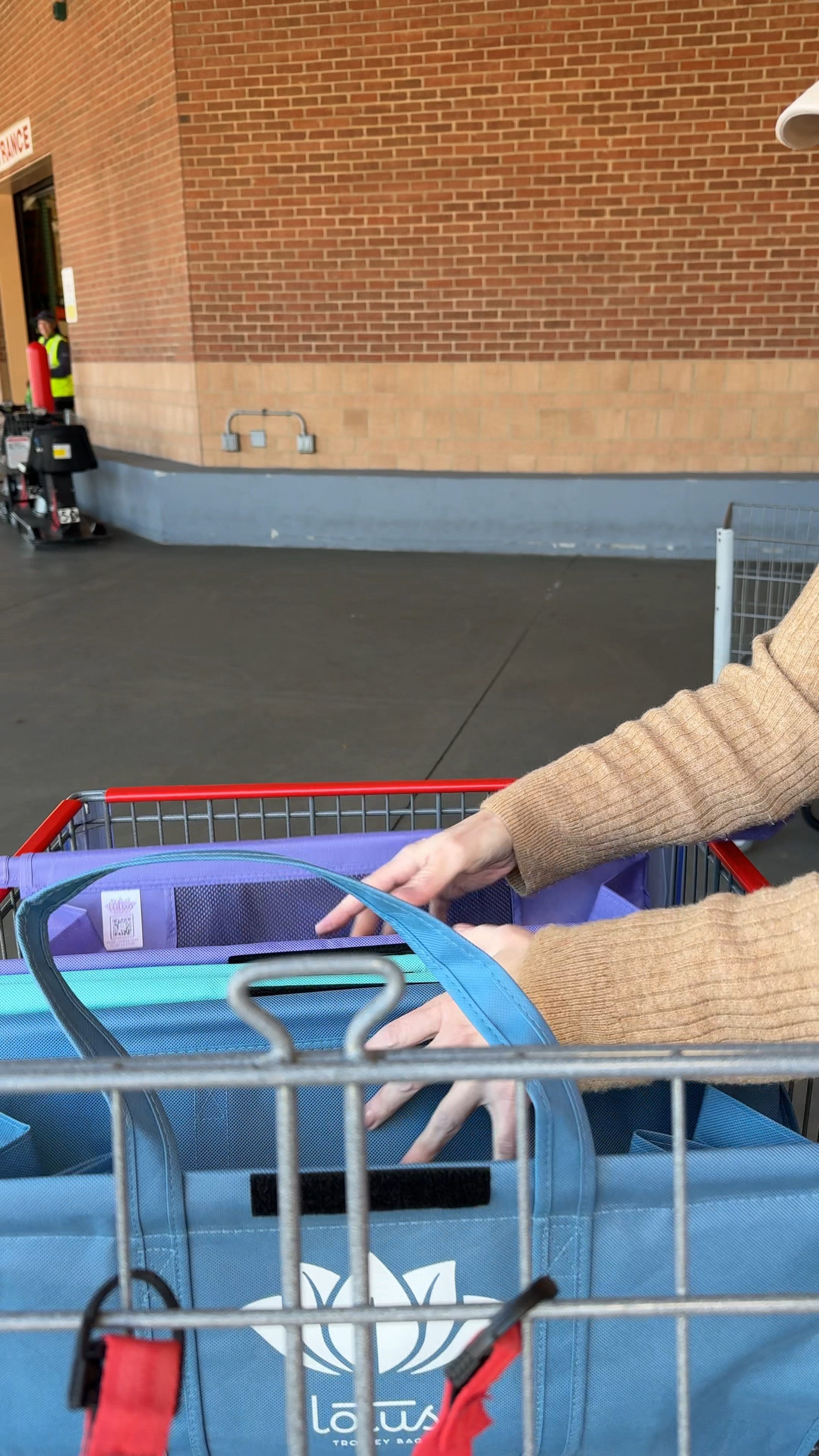 Extra large, lotus trolley bags make warehouse shopping a breeze!

Shopping at warehouse stores just got so much easier with my lotus trolley bags! These extra large, reusable bags fit perfectly in a cart, keeping everything organizing and easy to unload. The insulated center bag is a game changer for refrigerator items! If you shop in bulk, these are must have.

#ltkfinds #amazonfinds #WarehouseShopping #GroceryHall #ReusableBags #SustainableLiving 

#LTKHome