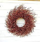 Fall Wreath, Fall Door Wreath, Fall Home Decor, Autumn Wreath, Rustic Farmhouse, Twig Wreath, Thanks | Amazon (US)