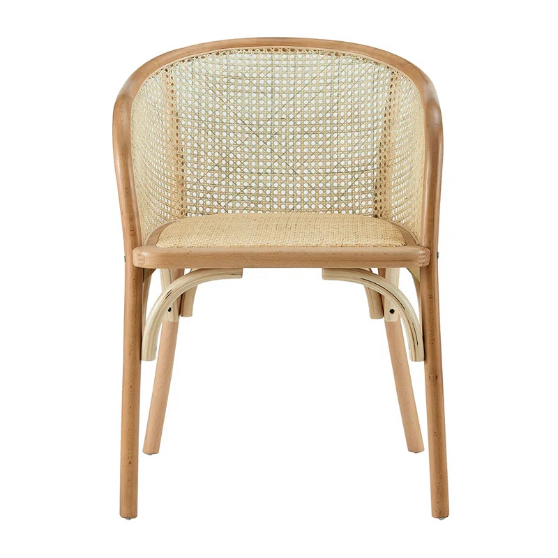 Cara Arm Chair | Wayfair North America