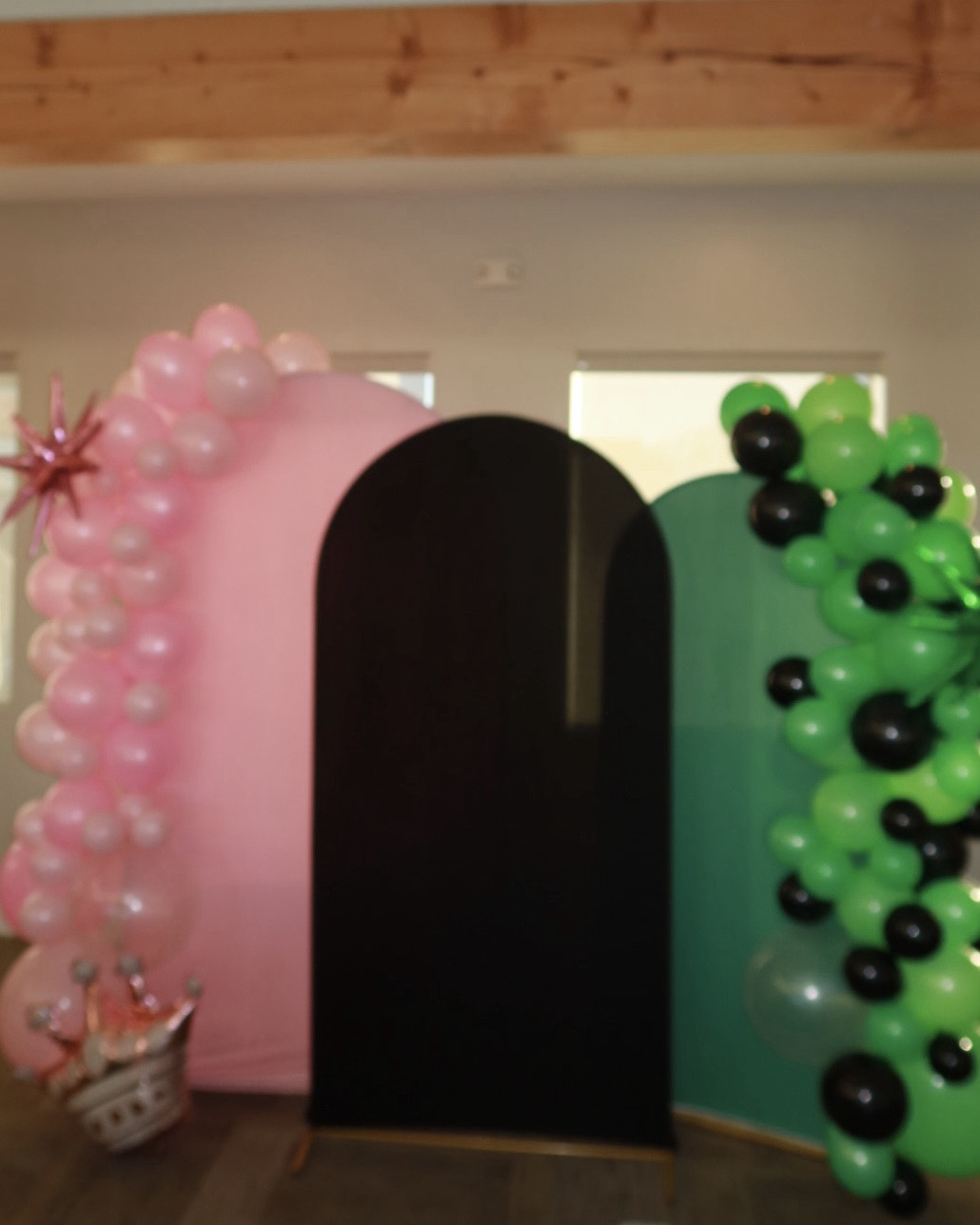 Wicked Theme Birthday Party 🩷💚