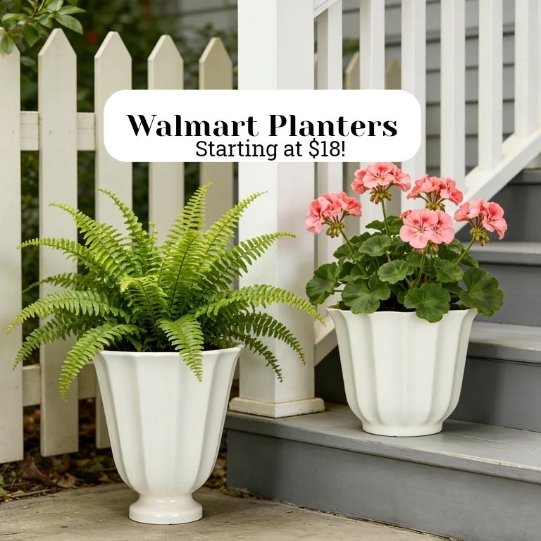 Pretty details planters for porch and patio from Walmart starting at $18! Shop more styles, high sellout risk!

#LTKHome #LTKSeasonal