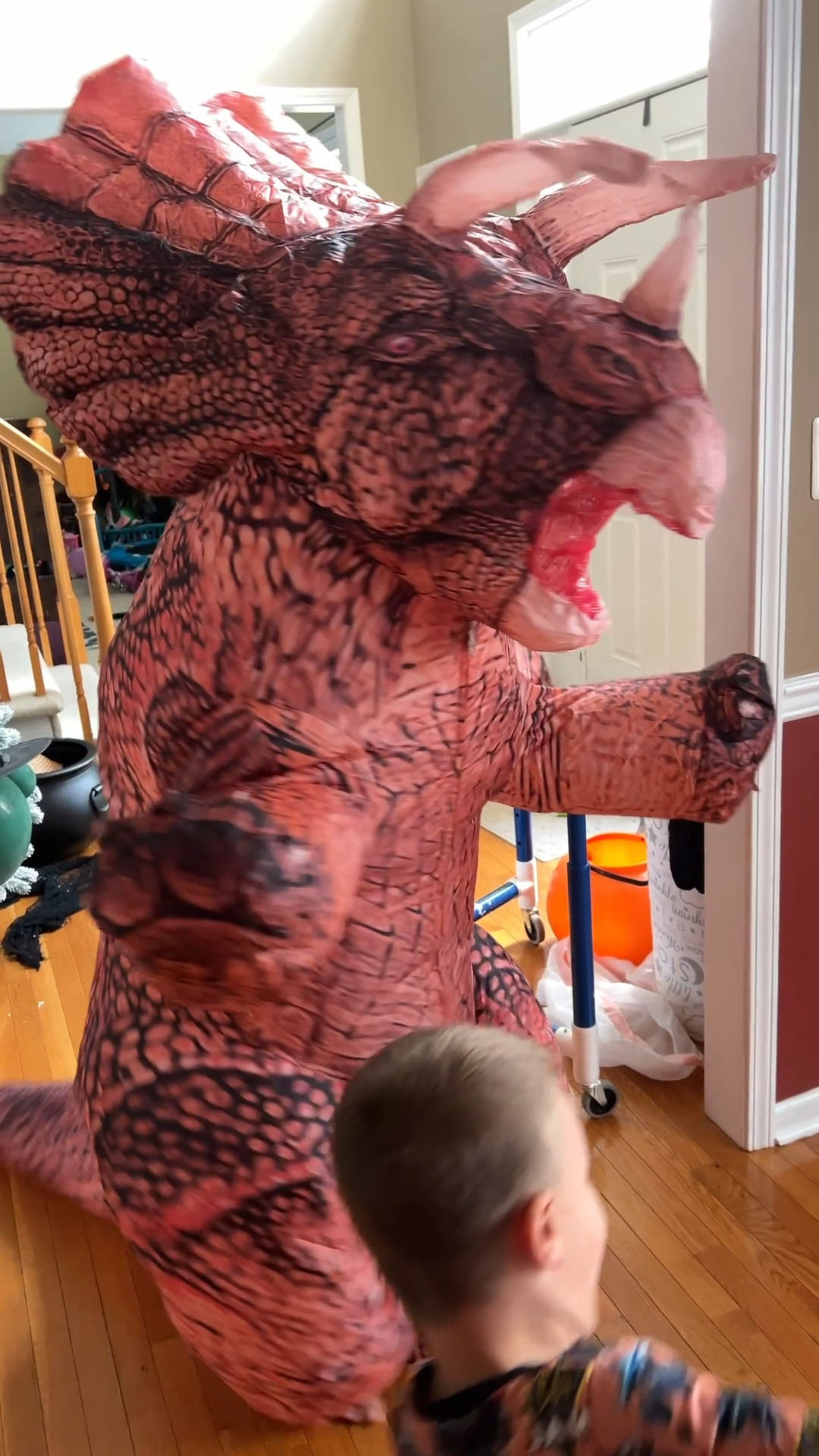 Kids Halloween Costume- triceratops