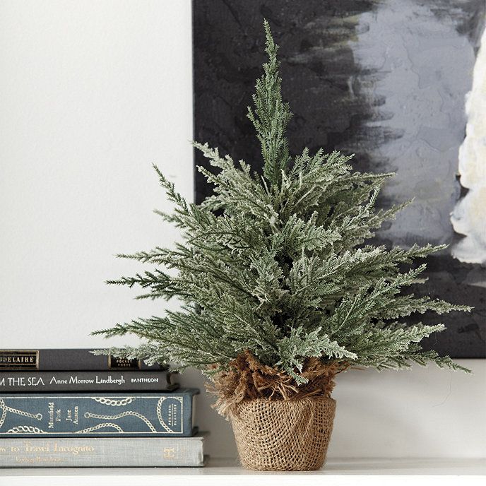 Wintry Cedar Petite Tree | Ballard Designs, Inc.