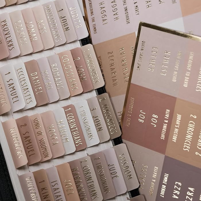 UPAFEXXI-Laminated Bible Tabs with Book Summaries(Gold Foil Embossed Lettering), Bible Tabs for W... | Amazon (US)