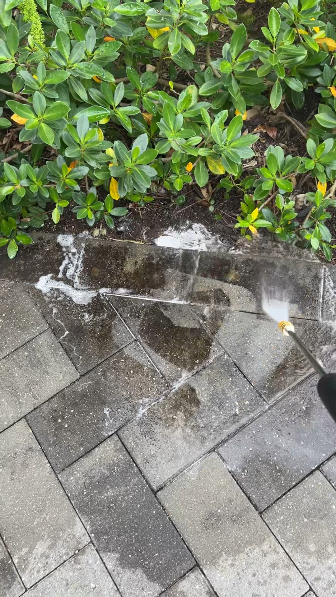 My new obsession - pressure washing lol 

#LTKSeasonal #LTKfamily #LTKhome