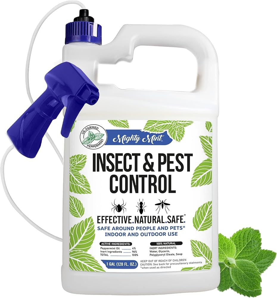 Mighty Mint Gallon (128 oz) Insect and Pest Control Peppermint Oil - Natural Spray for Spiders, A... | Amazon (US)