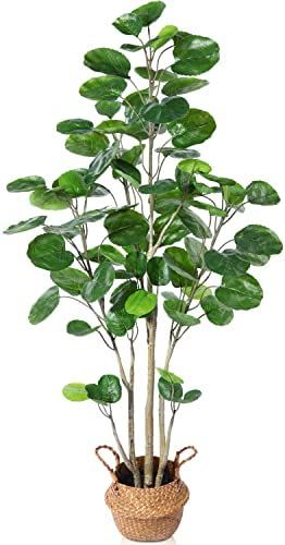 Amazon.com: Kazeila Artificial Aralia Balfour Tree,Fake Greenery Plant,Come with Woven Seagrass B... | Amazon (US)