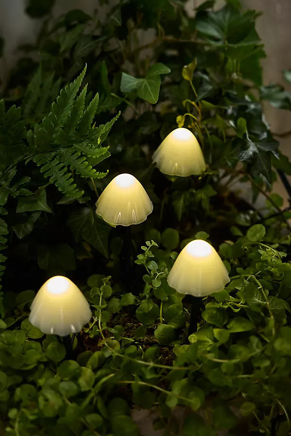 Stargazer Nature Effects Solar Mushroom Lights | Anthropologie (US)