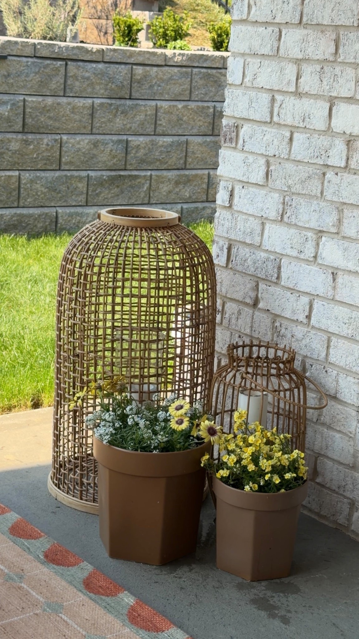 My new beauties i just planted in these ceramic pots! I got the 11inch and the 9inch. 

Spring gardening target finds sale

#LTKHome #LTKSeasonal