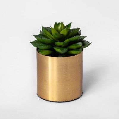 4.7" x 3.7" Artificial Dudleya Succulent In Pot Green/Gold - Project 62™ | Target