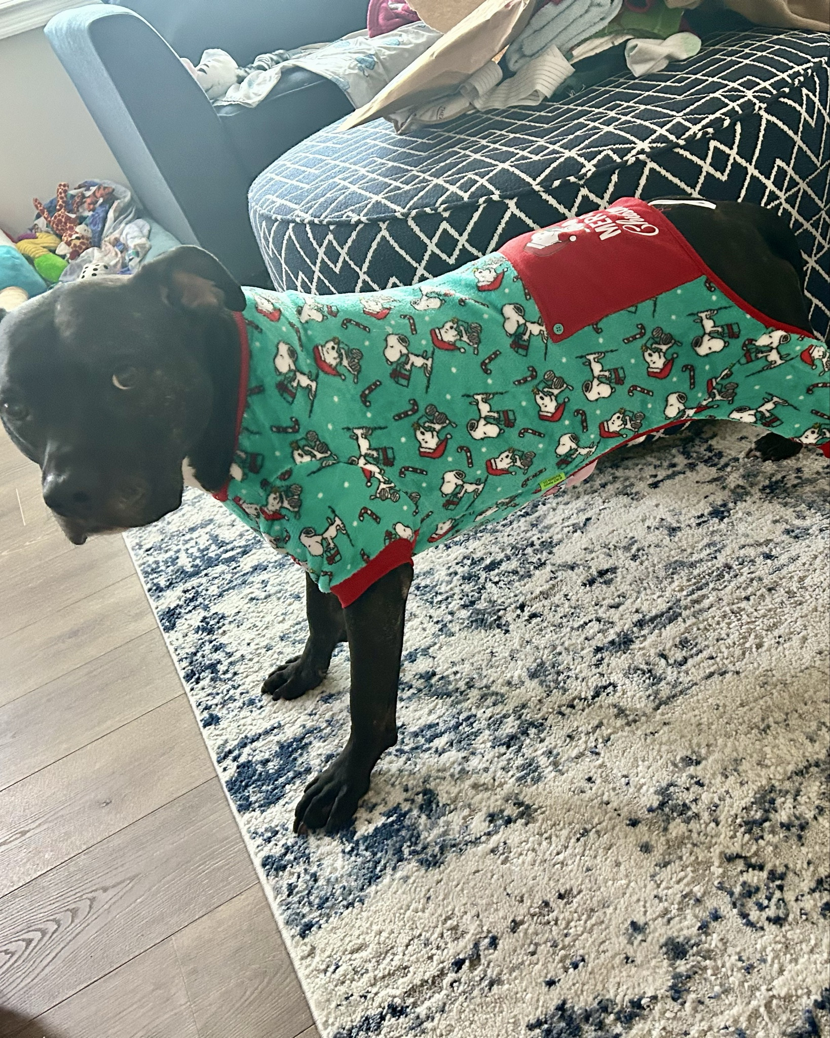 Zuma’s Christmas PJs 🎄💚
Linked below — run, don’t walk.

#LTKDogMom #LTKHoliday #LTKPet #PetPajamas #DogPJs #HolidayStyle #TailsAndThyme #PetGiftGuide #LTKTrending


#LTKSeasonal #LTKHoliday #LTKGiftGuide