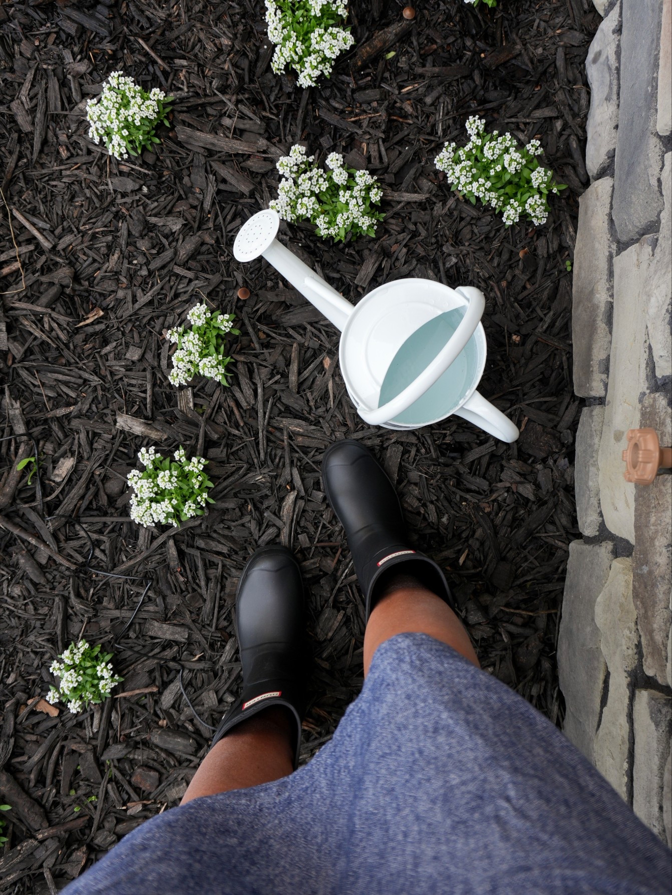 Finally got a pair of my dream gardening boots🪴 I'm in my grandma era 


•gardening •hunter boots •for her •cottage core •Nancy Meyer 

#LTKMidsize #LTKSeasonal #LTKMothersDay