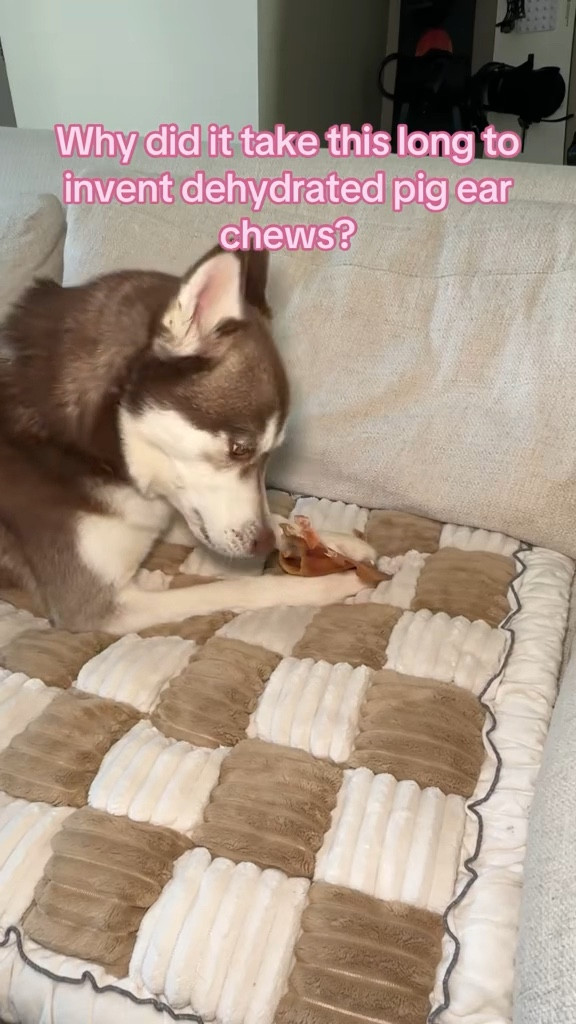 She goes crazy for these 

 

#LTKmorningroutine #LTKvlog #LTKdayinmylife