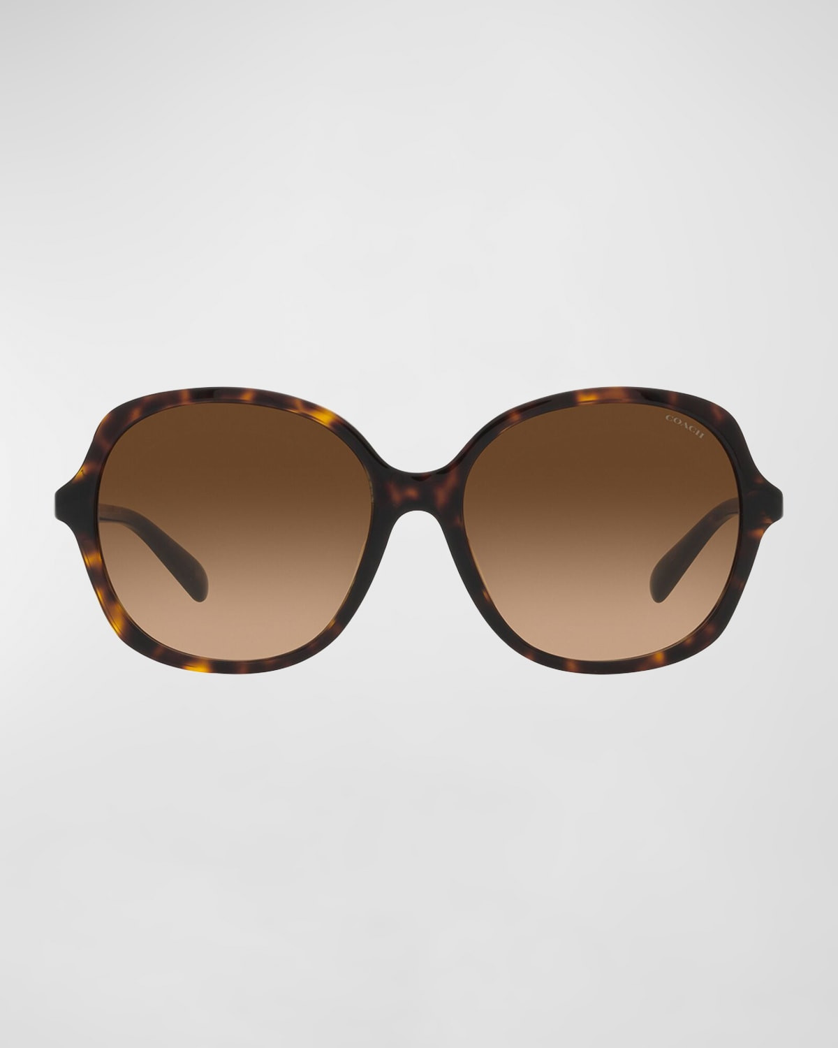 Gradient Square Acetate Sunglasses | Neiman Marcus